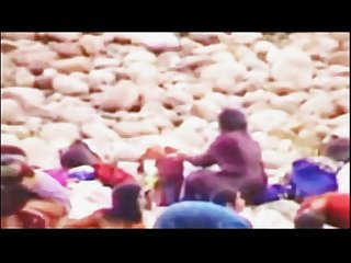 Desi Bathing Bunnies